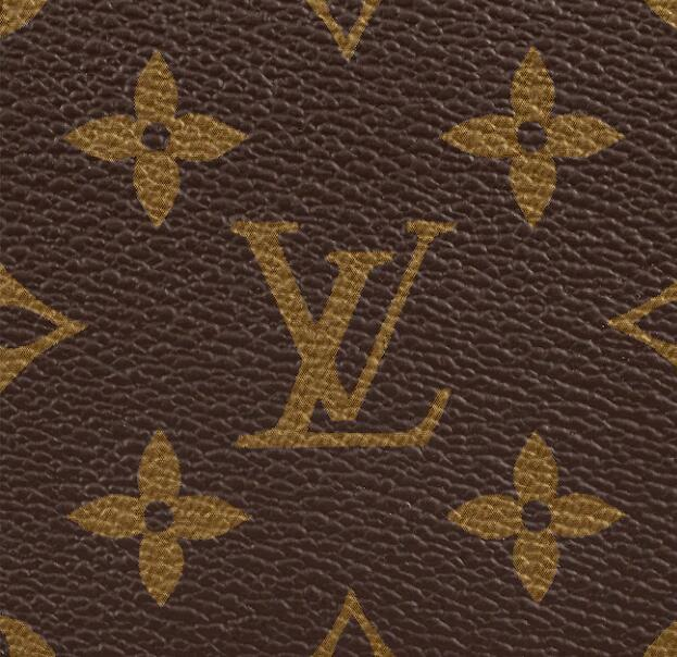 Collecting Louis Vuitton: Pluta, Paul: 9781446169490: : Books